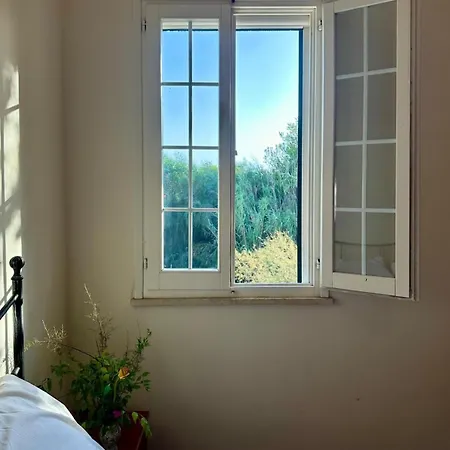 Wanderlust Apartment